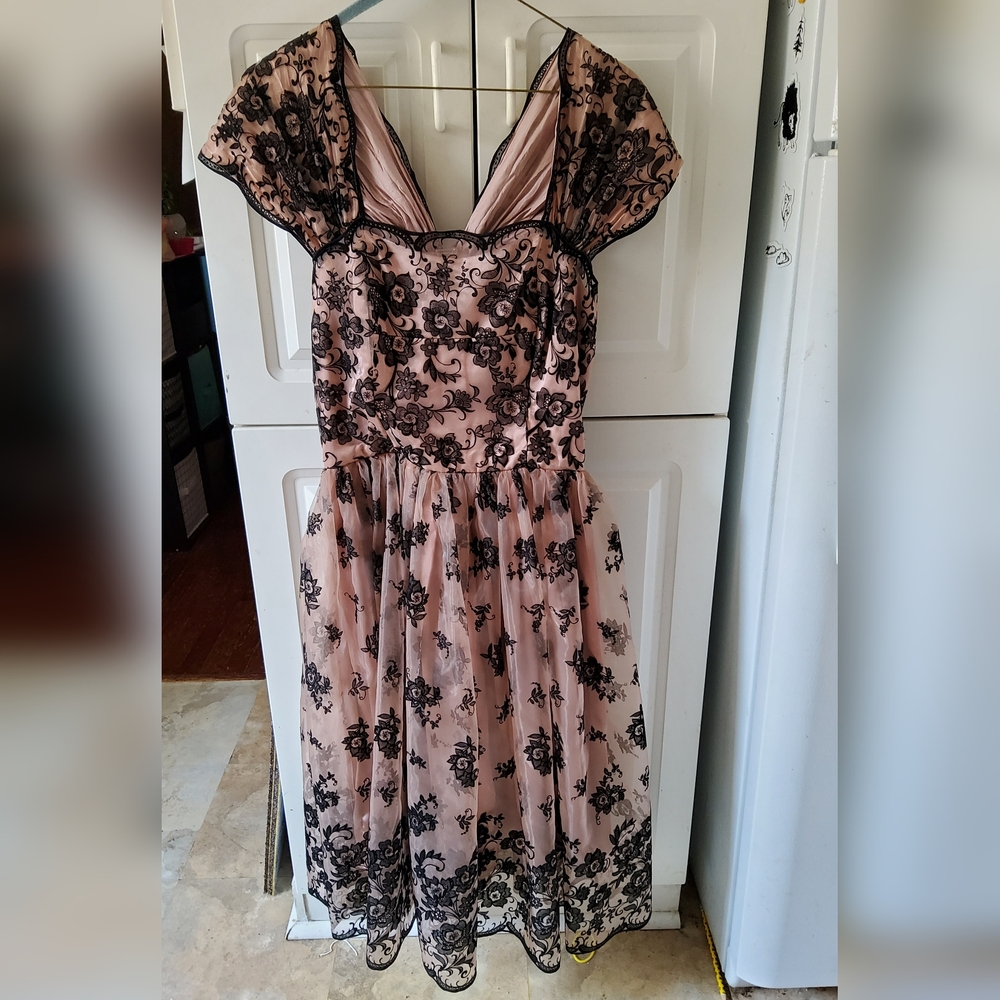 H&M Pink and Black Floral Dress (Black Parts Are Velvety)
